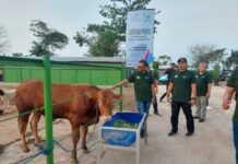 PLN Nusantara Power Luncurkan Program SIPANDU DESI