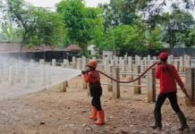 Cegah Penyebaran PMK, Di Pasar Hewan Disemprot Disinfektan