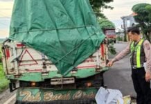 Dua Remaja Tewas Usai Tabrak Truk Parkir