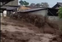 Hutan Gundul Salah Satu Faktor Penyebab Banjir Bandang