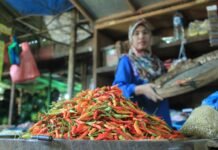 Cabai Rawit Sentuh Harga Rp. 120.000 Per-kilogram