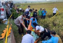 Polisi Ungkap Tewasnya Perempuan Di Area Persawahan