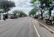 Pelajar Tewas Usai Tertabrak Truk di Jalur Pantura