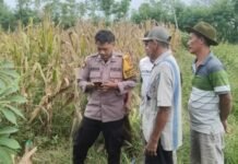 Hendak Singkirkan Kabel Melintang, Seorang Perempuan Meninggal Tersengat Listrik