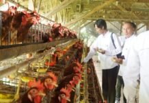 SIG dan PWI Tuban Perkuat Sinergitas Melalui Program Pemberdayaan