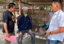 Peras Seorang Perempuan, Pegawai SPPG di Amankan Polisi