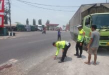 Korban Tabrak Lari, Pria Asal Lamongan Meninggal
